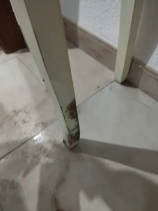 Mueble de entrada blanco y verde