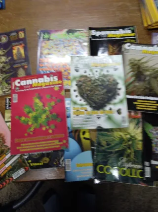 Revista cannabis