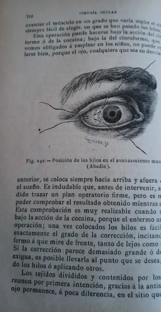 Compendio de oftalmología, 2° edición, año  1.903