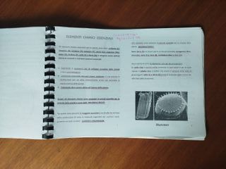 Dispensa Biologia Vegetale