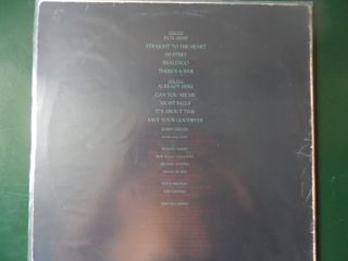 Vinilo LP Navarro - Straight to the Heart