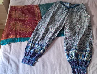 Sari y pantalón oriental