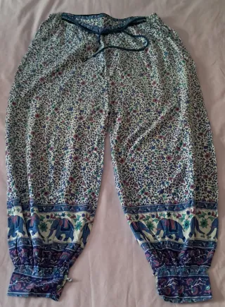 Sari y pantalón oriental