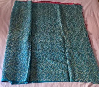 Sari y pantalón oriental