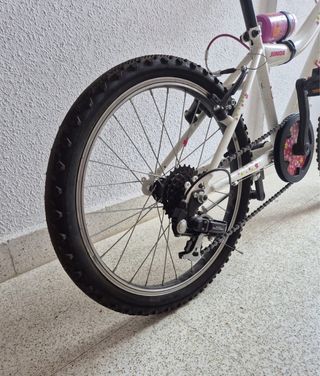 Bicicleta Infantil Berg Charm 20”