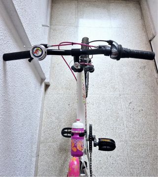 Bicicleta Infantil Berg Charm 20”