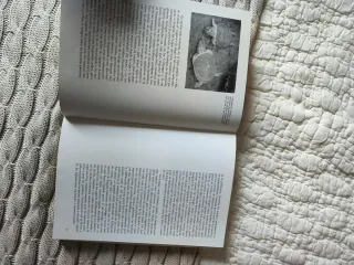 Gran libro de las tortugas, el