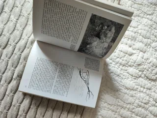 Gran libro de las tortugas, el