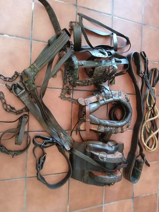 Arreos antiguos para carro de varas