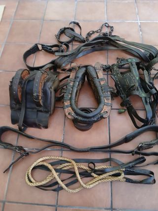 Arreos antiguos para carro de varas