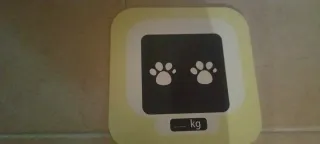 Mesa veterinario juguete