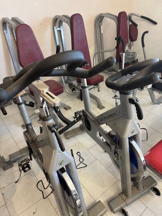 Lote 12 máquinas gimnasio True