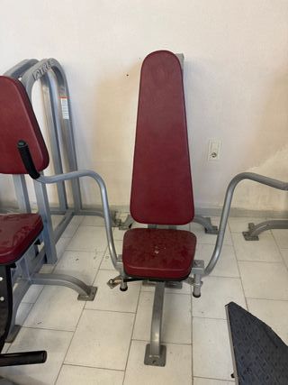 Lote 12 máquinas gimnasio True