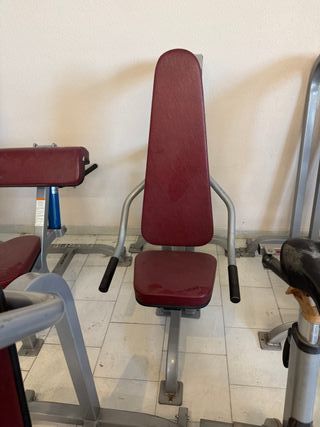 Lote 12 máquinas gimnasio True