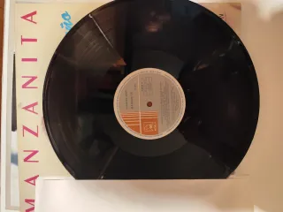 Vinilo Manzanita Sueño de Amor