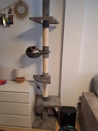 Rascador para gatos de tela y sisal