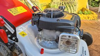 Cortacésped Sterwins motor Briggs & Stratton