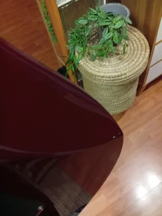 Jackson DK2 Firestorm japonesa