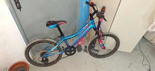 Bicicleta 20 pulgadas 6-9 años