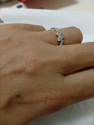 Anillo Apodemia Plata Flores