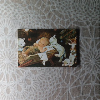 4 Postales de Costanza diferentes medidas y años