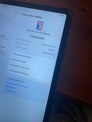 Samsung Galaxy Tab S6 Lite Gris Espacial