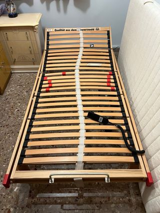 Somier articulado eléctrico + colchón