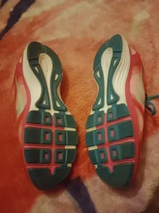 Zapatillas Nike Dual Fusion