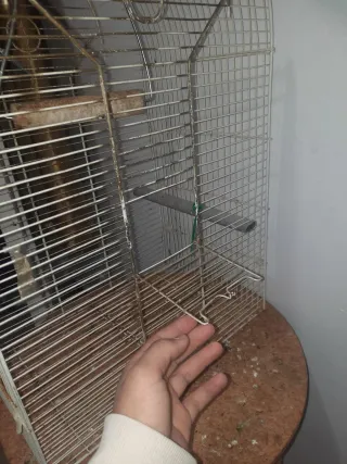 Jaula para pájaros dorada y plateada