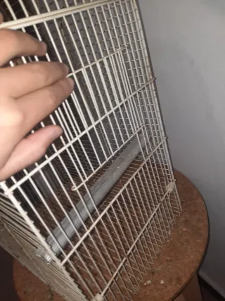 Jaula para pájaros dorada y plateada