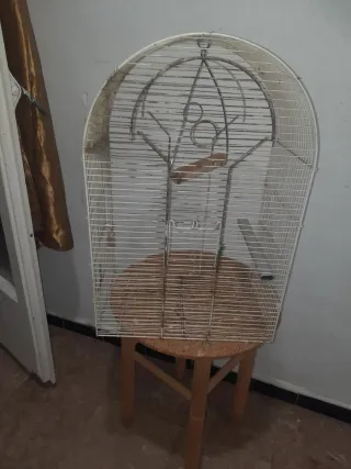 Jaula para pájaros dorada y plateada