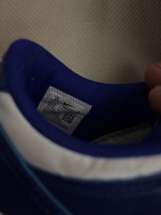 Zapatillas Nike Dunk Azul y Blanco