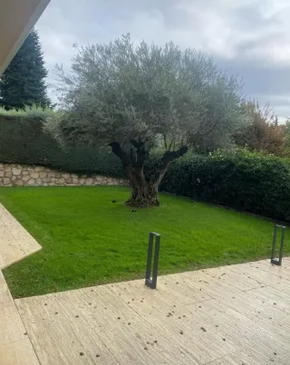 Jardinero profesional