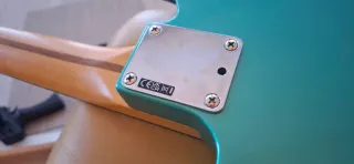 Fender Telecaster Susan Tedeschi