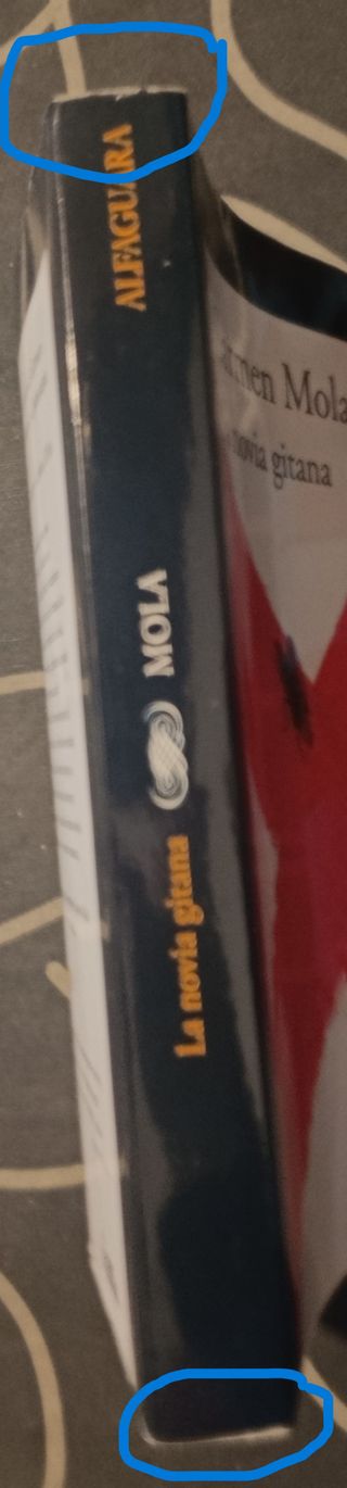 Libro La Novia Gitana Carmen Mola Alfaguara