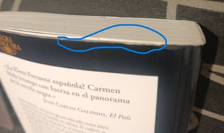 Libro La Novia Gitana Carmen Mola Alfaguara