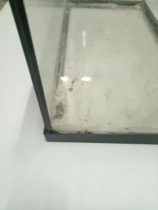 Pecera negra y transparente