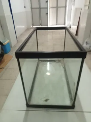 Pecera negra y transparente