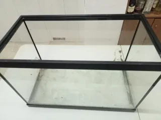 Pecera negra y transparente