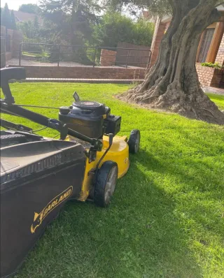 Jardinero profesional