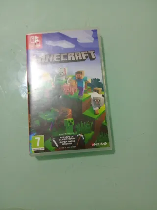 Minecraft Nintendo Switch