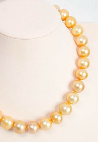 Set Perlas South Sea Doradas GIA 14.98–16.39 mm