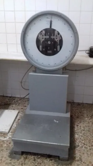 Maquinaria equipamiento carnicería charcutería