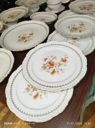 Vajilla Porcelana Vintage 19 Piezas Flores Naranja