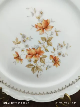 Vajilla Porcelana Vintage 19 Piezas Flores Naranja
