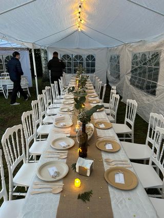 Carpa Jardín COSTWAY 3x9m