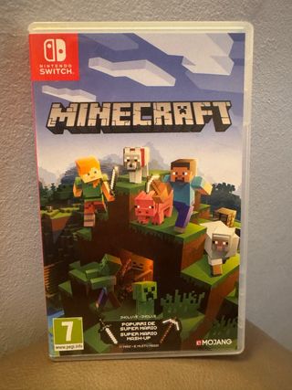 Minecraft Nintendo Switch
