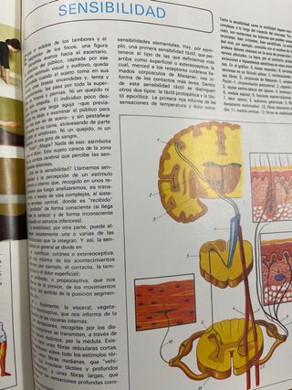 La medicina y la salud enciclopedia para la famili