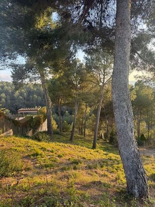 Terreno en venta en Castellnou de Bages