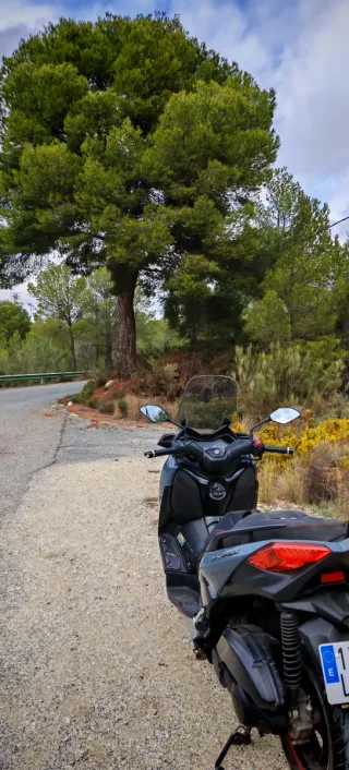 Yamaha XMAX TECH MAX 125 cc.